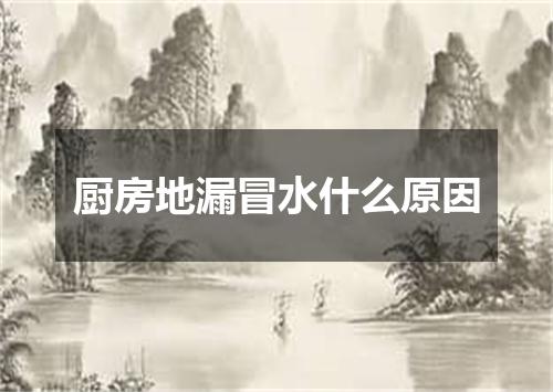 厨房地漏冒水什么原因