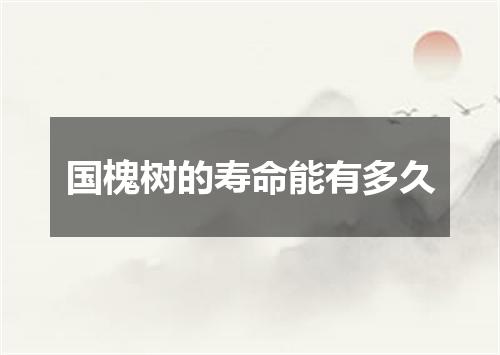 国槐树的寿命能有多久