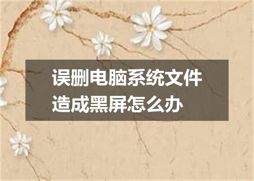 误删电脑系统文件造成黑屏怎么办