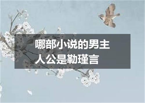 哪部小说的男主人公是勒瑾言