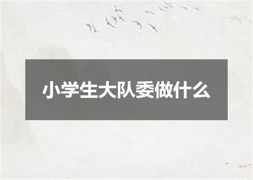 小学生大队委做什么