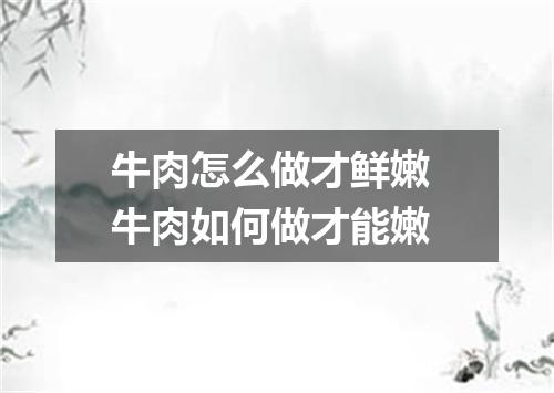 牛肉怎么做才鲜嫩 牛肉如何做才能嫩