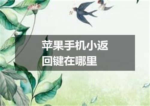 苹果手机小返回键在哪里