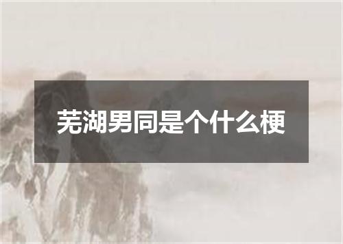 芜湖男同是个什么梗