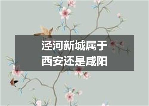 泾河新城属于西安还是咸阳