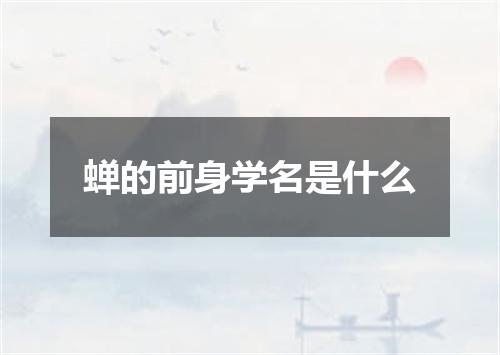 蝉的前身学名是什么