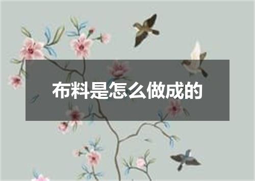 布料是怎么做成的