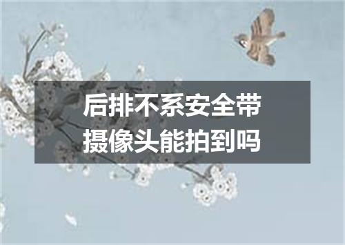后排不系安全带摄像头能拍到吗