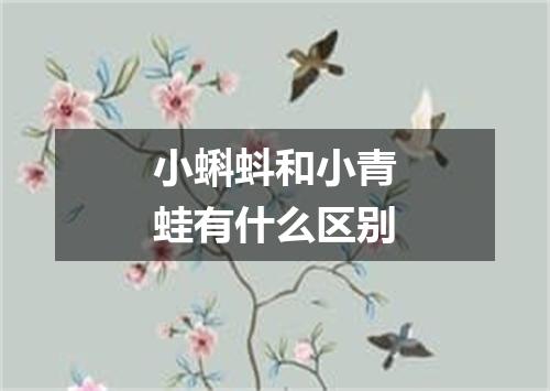 小蝌蚪和小青蛙有什么区别