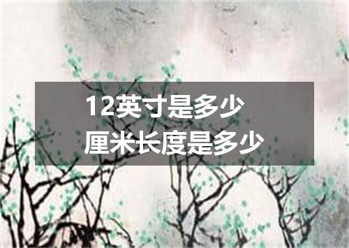 12英寸是多少厘米长度是多少