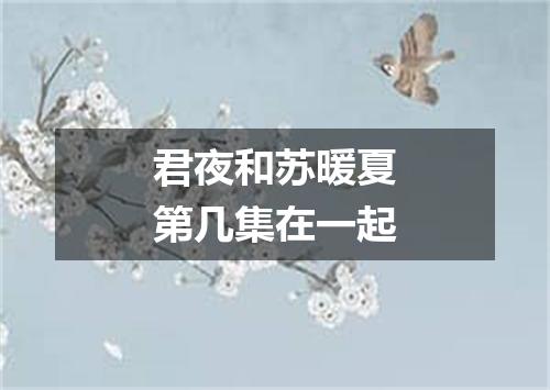 君夜和苏暖夏第几集在一起