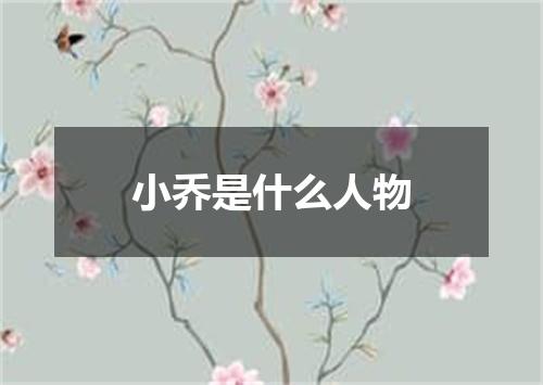 小乔是什么人物