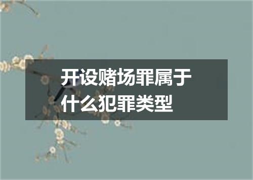 开设赌场罪属于什么犯罪类型