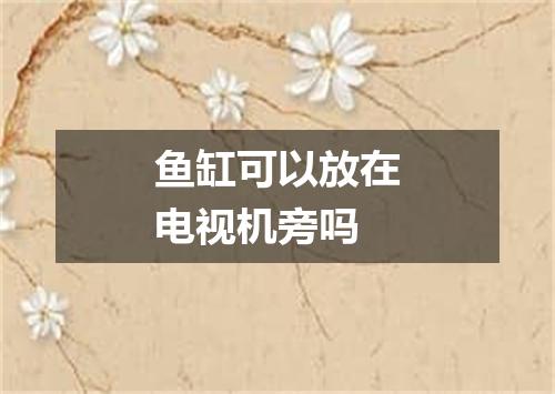 鱼缸可以放在电视机旁吗