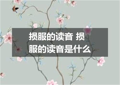 损服的读音 损服的读音是什么
