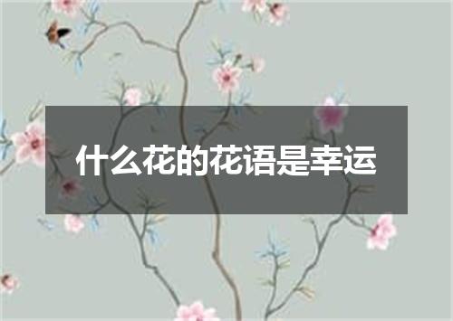 什么花的花语是幸运