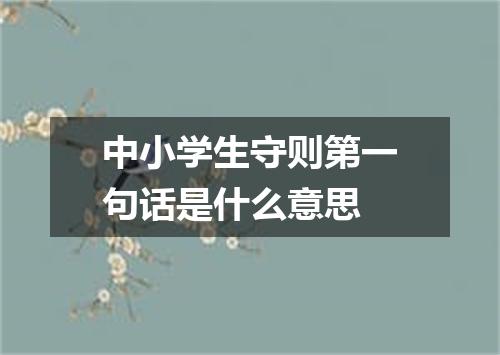 中小学生守则第一句话是什么意思