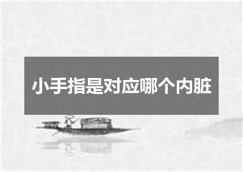 小手指是对应哪个内脏