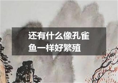 还有什么像孔雀鱼一样好繁殖