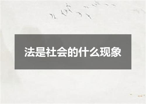 法是社会的什么现象