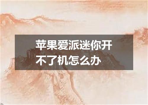 苹果爱派迷你开不了机怎么办