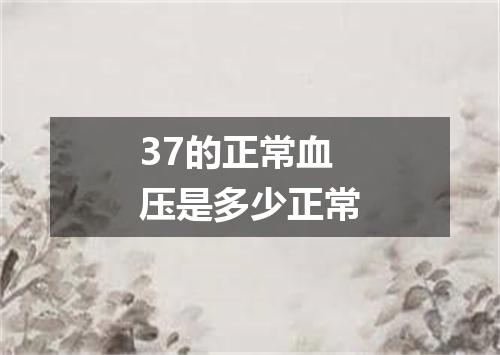 37的正常血压是多少正常