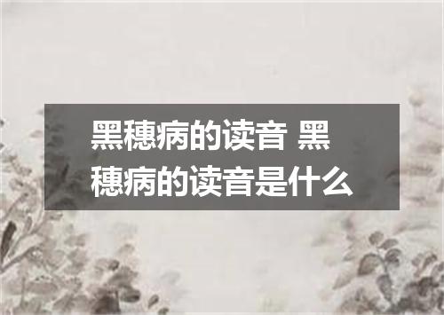 黑穗病的读音 黑穗病的读音是什么