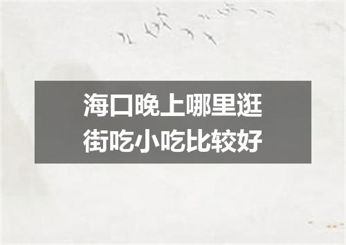 海口晚上哪里逛街吃小吃比较好