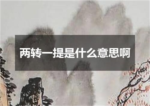 两转一提是什么意思啊