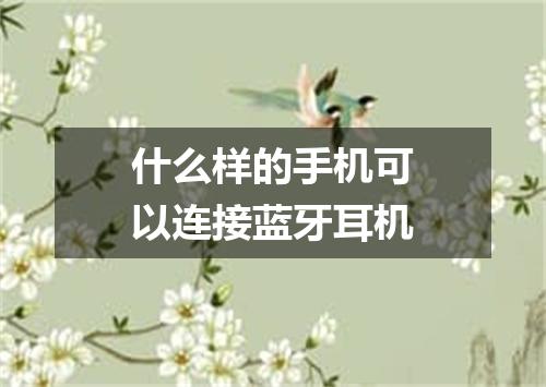 什么样的手机可以连接蓝牙耳机