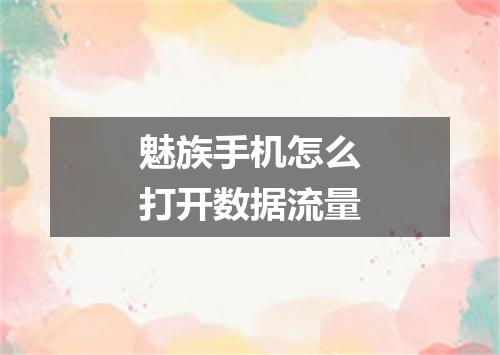 魅族手机怎么打开数据流量