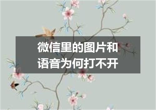 微信里的图片和语音为何打不开
