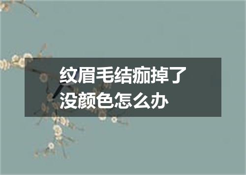 纹眉毛结痂掉了没颜色怎么办