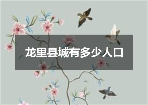 龙里县城有多少人口