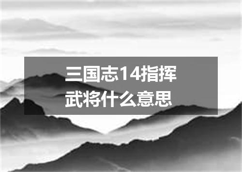 三国志14指挥武将什么意思