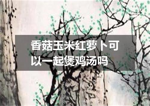 香菇玉米红萝卜可以一起煲鸡汤吗