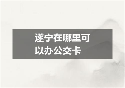 遂宁在哪里可以办公交卡