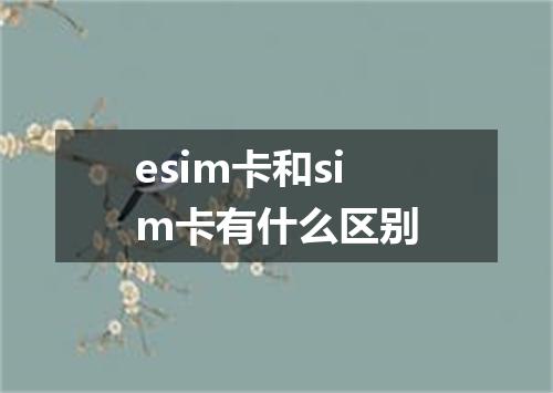 esim卡和sim卡有什么区别