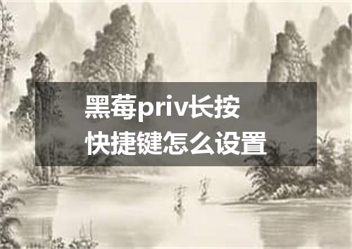 黑莓priv长按快捷键怎么设置
