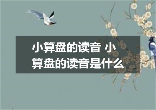 小算盘的读音 小算盘的读音是什么