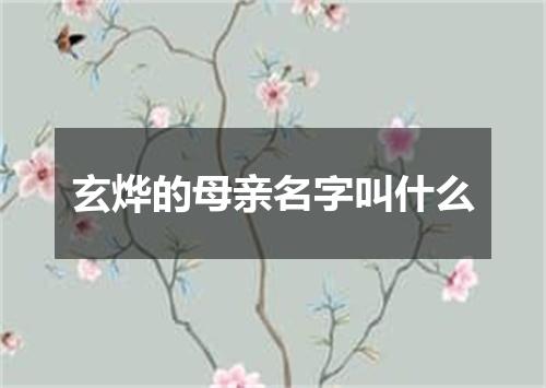 玄烨的母亲名字叫什么