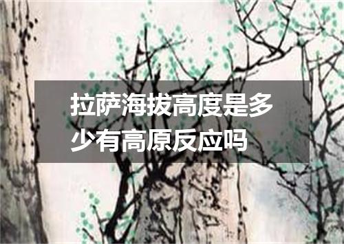 拉萨海拔高度是多少有高原反应吗