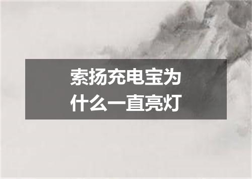 索扬充电宝为什么一直亮灯