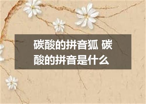 碳酸的拼音狐 碳酸的拼音是什么