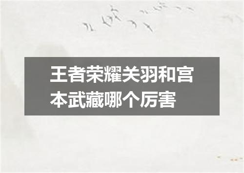 王者荣耀关羽和宫本武藏哪个厉害
