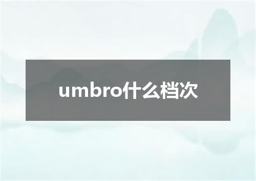 umbro什么档次