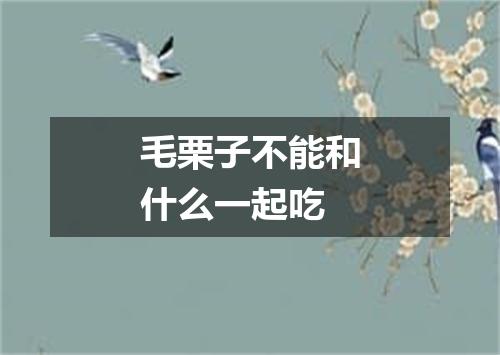 毛栗子不能和什么一起吃