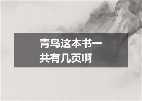 青鸟这本书一共有几页啊
