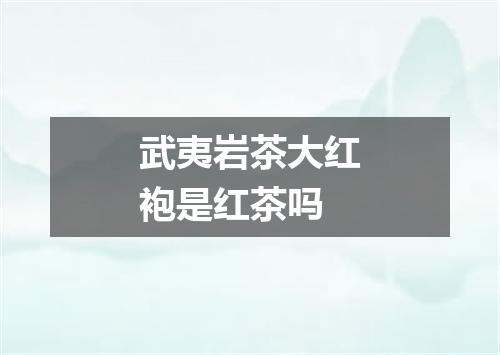 武夷岩茶大红袍是红茶吗
