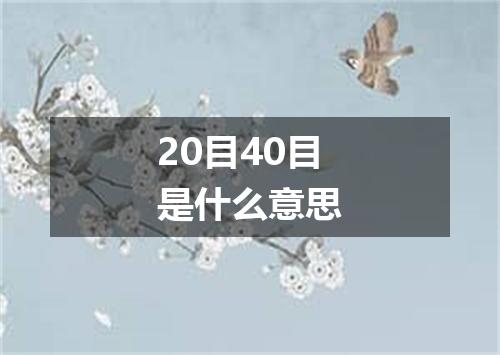 20目40目是什么意思